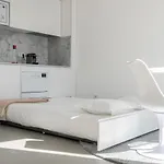 Sta Catarina Design By One *